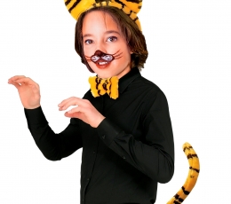 Aksesuarų rinkinys Tigras" 1