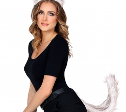 Aksesuarų rinkinys "Vilkas" 1