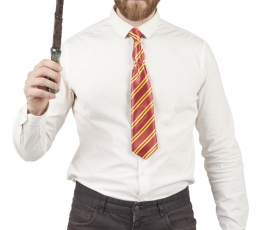 Burtininko rinkinys (kaklaraištis, akiniai, lazdelė)