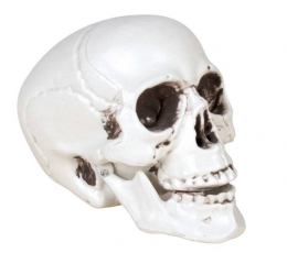 Dekoracija "Kaukolė" (8 cm) 1