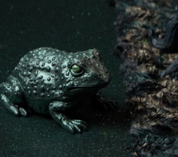 Dekoracija "Rupūžė" (12 cm) 1