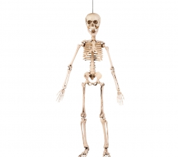 Dekoracija "Skeletas" (50 cm)