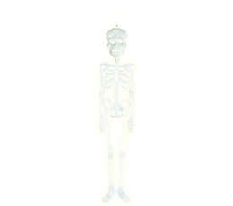 Dekoracija "Šviečiantis tamsoje skeletas" (75 cm)
