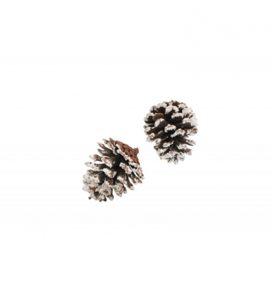 Dekoracijos "Apsnigti kankorėžiai" (2 vnt./8,5 cm)