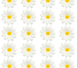 Dekoracijos "Ramunių žiedai" (20 vnt.) 1