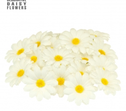 Dekoracijos "Ramunių žiedai" (20 vnt.) 2