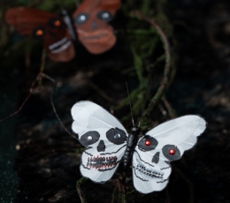 Dekoracijos segtukai "Kaukoliniai drugeliai"  1