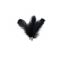 Dekoratyvinės plunksnos, juodos (5 g.)