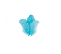 Dekoratyvinės plunksnos, mėlynos spalvos (5 g.)