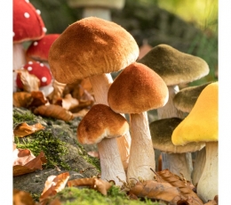 Dekoratyviniai grybukai samanose (3 vnt./8-18 cm) 1 Dekoratyviniai grybukai samanose (3 vnt./8-18 cm) 1
