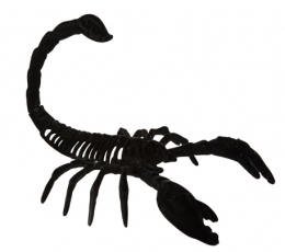Dekoratyvinis skorpionas, aksominis juodas (14,5x20,5 cm)