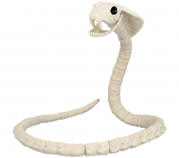 Gyvatės skeletas (102 cm)
