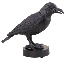 Interaktyvi dekoracija "Klykianti varna" (24 cm)