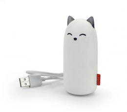 Išorinė baterija "Katinas" (5000 mAh) 