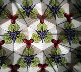 Kaleidoskopas "Vienaragis" 1