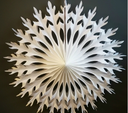 Karpyta snaigė, balta (50 cm) 1
