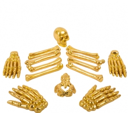 Kaulų rinkinys, auksinis (5-11 cm)