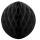 Koriukas, juodas (20 cm)