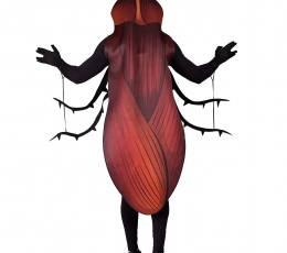 Kostiumas "Tarakonas" (XL) 1