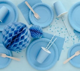 Lėkštutės, melsvos (6 vnt./18 cm) 1