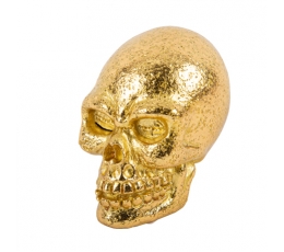 Mini kaukolė, auksinė (8,5 x 6,5 cm)