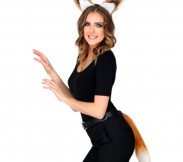 Aksesuarų rinkinys "Lapė" 0