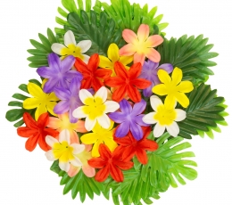 Dekoracijų rinkinys stalui "HavajaI"