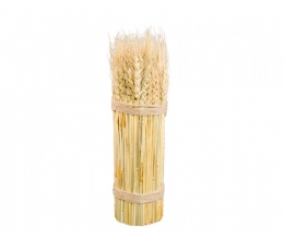 Dekoratyvinė kviečių puokštė (26 cm)