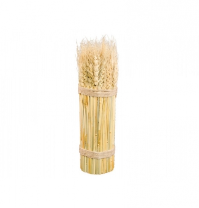 Dekoratyvinė kviečių puokštė (26 cm)