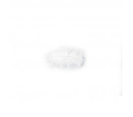 Dekoratyvinės plunksnos, baltos (10 g./5-10 cm)