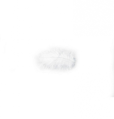 Dekoratyvinės plunksnos, baltos (10 g./5-10 cm)