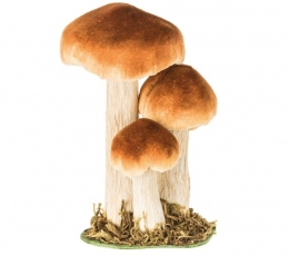 Dekoratyviniai grybukai samanose (3 vnt./8-18 cm)