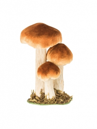 Dekoratyviniai grybukai samanose (3 vnt./8-18 cm)