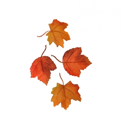 Dekoratyviniai klevo lapai (12 vnt.)