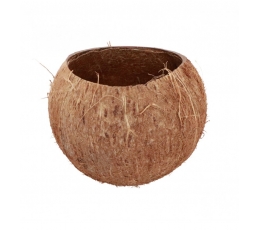Dekoratyvinis indelis "Kokosas" (13x10 cm)