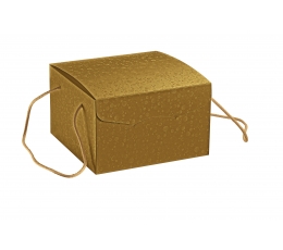 Dėžutė su rankenelėmis, auksinė (24,5X24,5X15 cm)