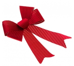 Didelis kaspinas, burgundiškas aksominis (71x86 cm) TIK SU VENIPAK!