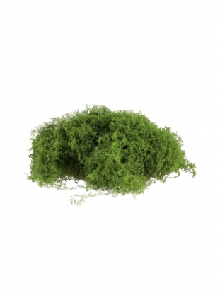 Dirbtinė samana-voratinklis (50 g)