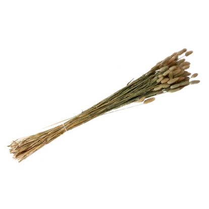 Dirbtinių smilgų puokštelė (50 g./80 cm)