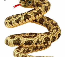 Geltona gyvatė (200 cm)