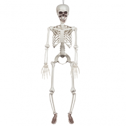 Kabanti dekoracija "Skeletas" (90 cm)