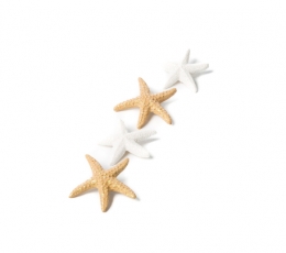 Klijuojamos 3D dekoracijos "Jūros žvaigždės" (6 vnt./ 4,5 cm)