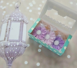 Muiliukai - spintos kvapukai