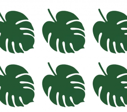 Padėkliukai "Palmės lapas" (6 vnt.)