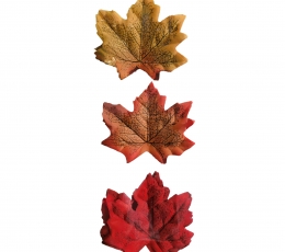 Rudeninių lapų rinkinys (36 vnt.)