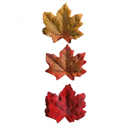 Rudeninių lapų rinkinys (36 vnt.)