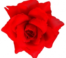 Segė "Raudona rožė"