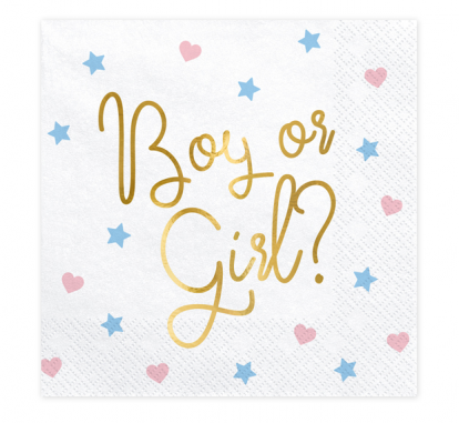 Servetėlės "Boy or Girl" (20 vnt.)