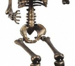 Skeletas, bronzinis (40 cm)