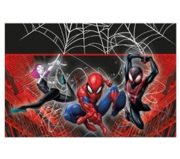 Staltiesė "Spiderman Web" (120x180 cm)